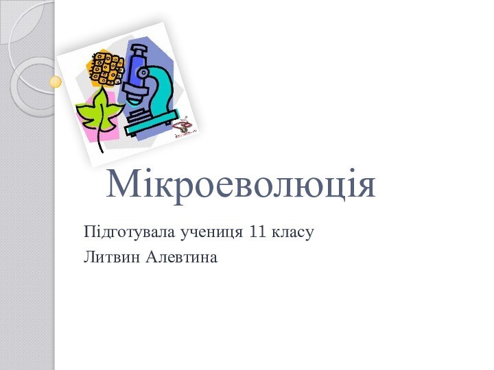 МікроеволюціяПідготувала учениця 11 класуЛитвин Алевтина