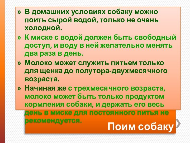 Поим собакуВ домашних условиях собаку можно поить сырой водой, только не очень