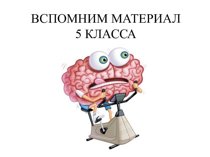 ВСПОМНИМ МАТЕРИАЛ  5 КЛАССА