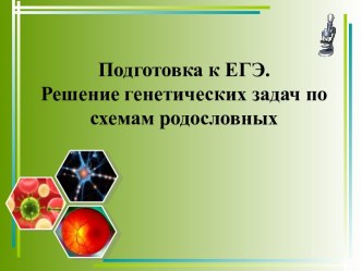 Подготовка к ЕГЭ. Решение генетических задач по схемам родословных