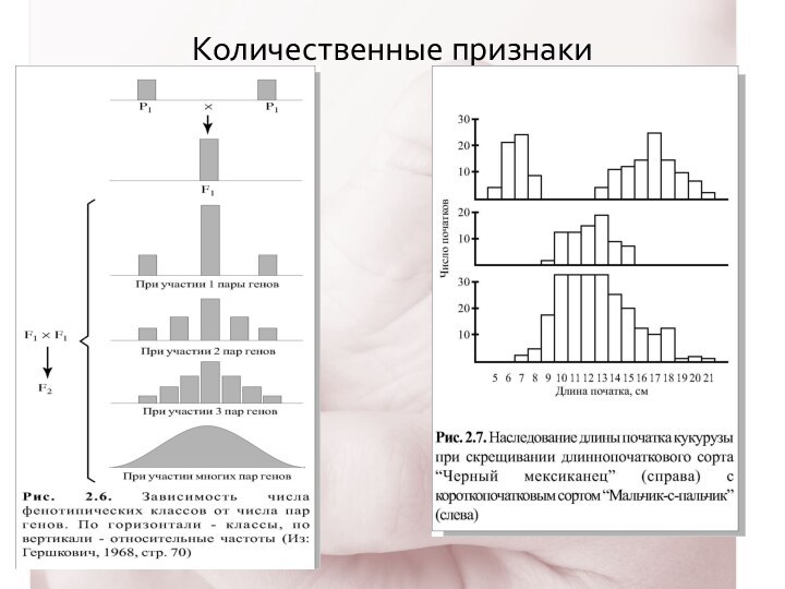 Количественные признаки