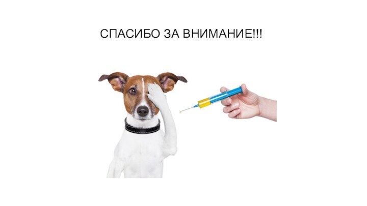 СПАСИБО ЗА ВНИМАНИЕ!!!