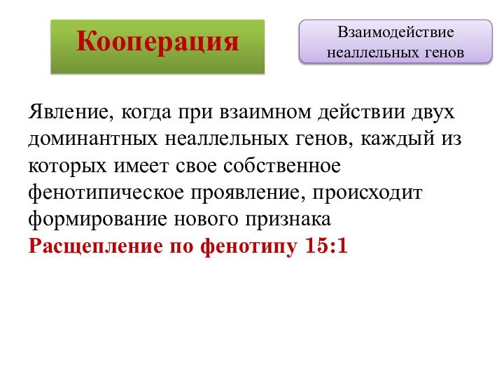 Взаимодействие неаллельных геновКооперацияЯвление, когда при взаимном действии двух доминантных неаллельных генов, каждый