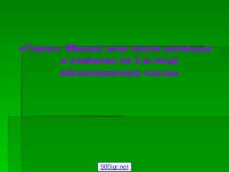 Глагол. Мягкий знак после шипящих в глаголах во 2-м лице единственного числа