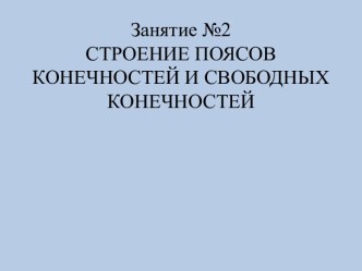 Строение поясов конечностей и свободных конечностей