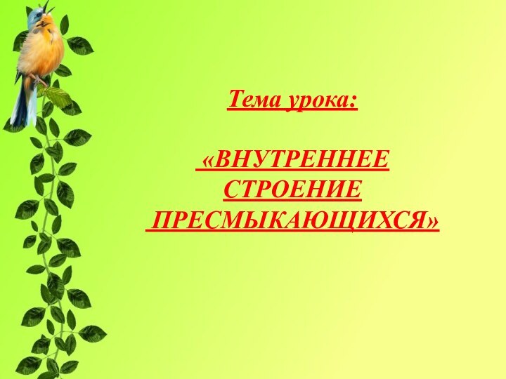 Тема урока: «ВНУТРЕННЕЕ СТРОЕНИЕ ПРЕСМЫКАЮЩИХСЯ»