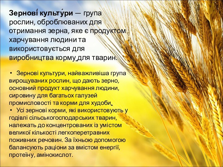 Зернові́ культу́ри — група рослин, оброблюваних для отримання зерна, яке є продуктом харчування