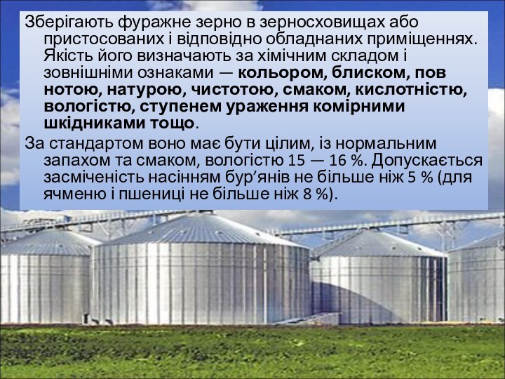 Зберігають фуражне зерно в зерносховищах або пристосованих і відповідно обладнаних приміщеннях. Якість