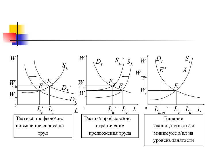 Влияние законодательства о минимуме з/пл на уровень занятостиТактика профсоюзов: ограничение предложения трудаLТактика