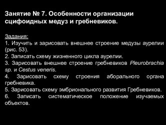 Особенности организации сцифоидных медуз и гребневиков