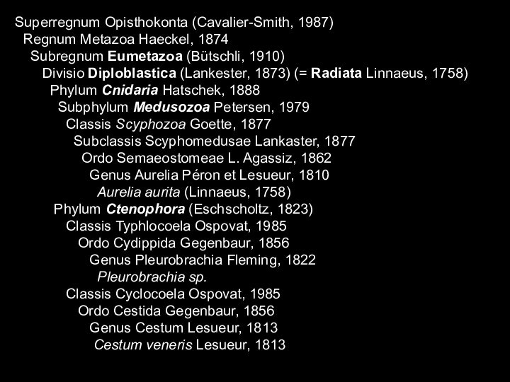 Superregnum Opisthokonta (Cavalier-Smith, 1987) Regnum Metazoa Haeckel, 1874  Subregnum Eumetazoa (Bütschli,