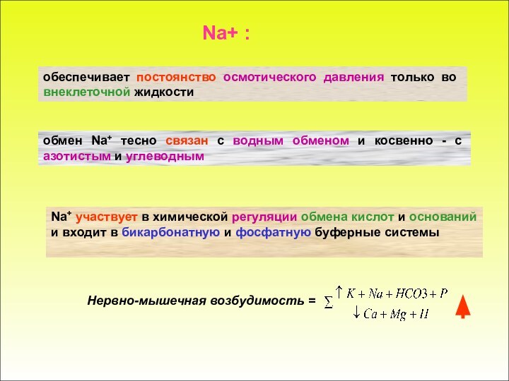 Na+ :обеспечивает постоянство осмотического давления только во внеклеточной жидкостиобмен Na+ тесно связан