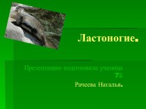 Ластоногие. Общая характеристика ластоногих