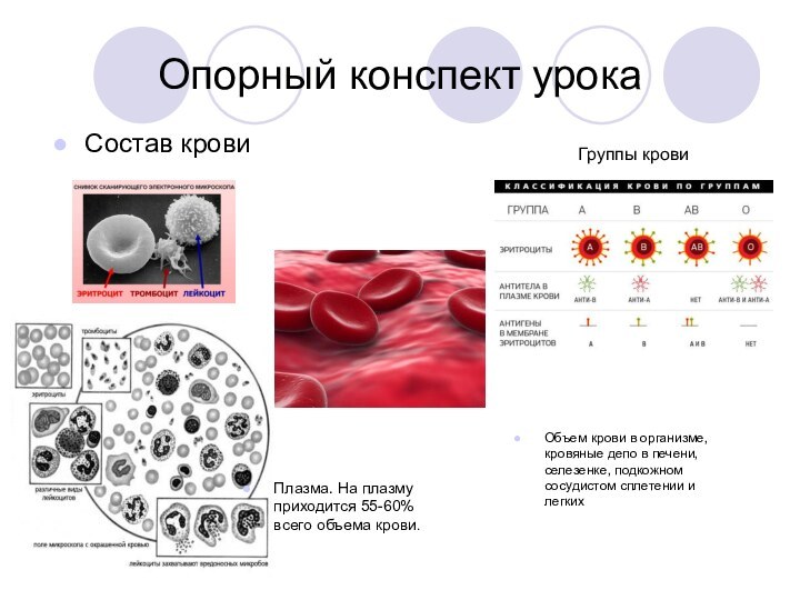 Опорный конспект урокаСостав кровиГруппы кровиОбъем крови в организме, кровяные депо в печени,