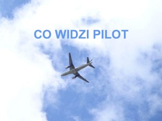 Co widzi pilot