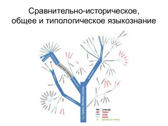 Сравнительно-историческое, общее и типологическое языкознание