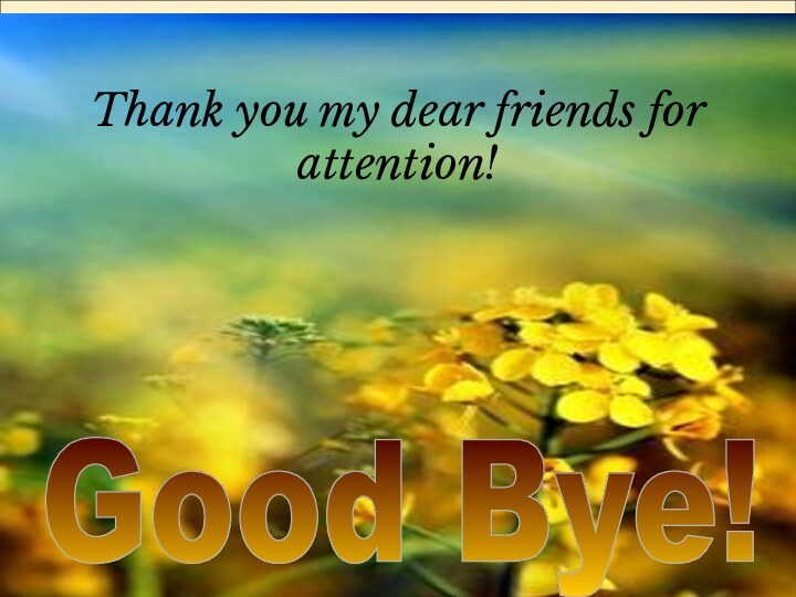 Good Bye! Thank you my dear friends for attention!