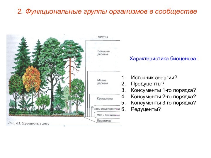Характеристика биоценоза:Источник энергии?Продуценты?Консументы 1-го порядка?Консументы 2-го порядка?Консументы 3-го порядка?Редуценты?2. Функциональные группы организмов в сообществе
