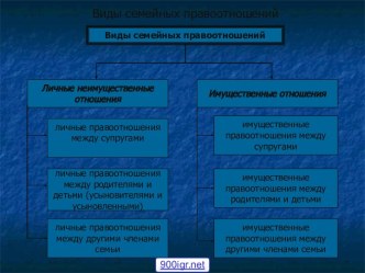 Виды семейных правоотношений