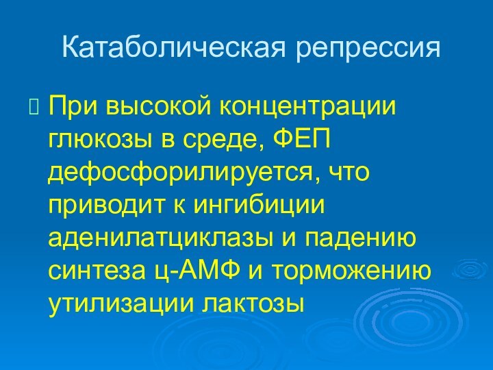 Катаболическая репрессияПри высокой концентрации глюкозы в среде, ФЕП дефосфорилируется, что приводит к