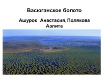 Васюганское болото