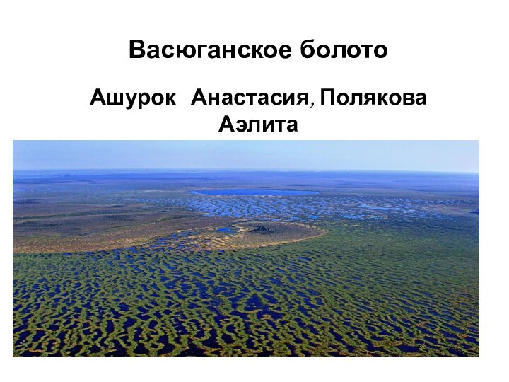 Васюганское болотоАшурок  Анастасия, Полякова АэлитаМАОУ СОШ № 2 г.Томска, 7 А класс