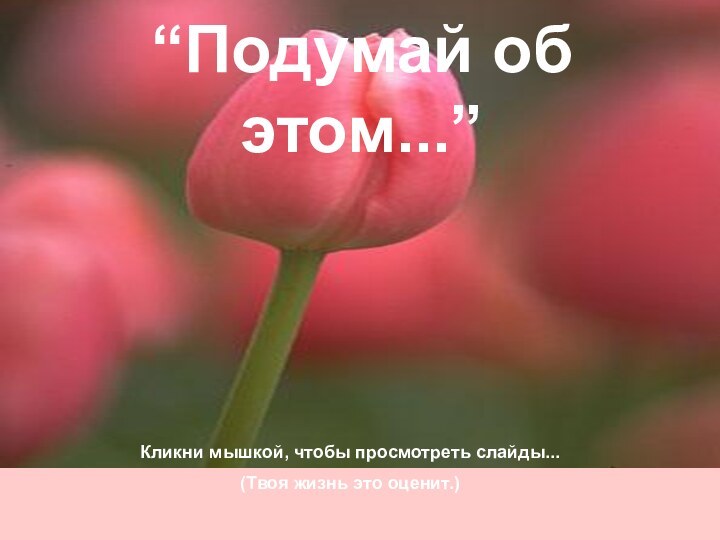 “Подумай об этом...”Кликни мышкой, чтобы просмотреть слайды...(Твоя жизнь это оценит.)