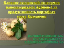 Влияние некорневой подкормки наноматериалом AgБион-2 на продуктивность картофеля сорта Красавчик