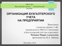 Организация бухгалтерского учета на предприятии (ООО Красивый берег)