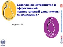 Безопасное материнство и эффективный перинатальный уход: нужны ли изменения?