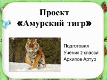 Проект Амурский тигр