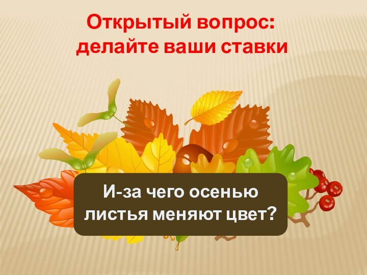 Открытый вопрос:  делайте ваши ставкиИ-за чего осенью  листья меняют цвет?