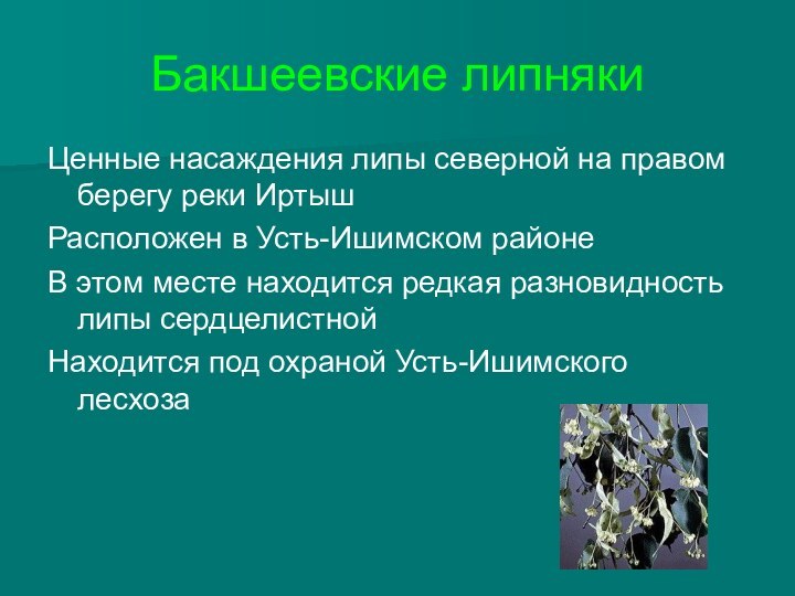 Бакшеевские липнякиЦенные насаждения липы северной на правом берегу реки ИртышРасположен в Усть-Ишимском