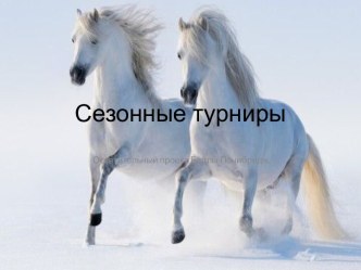 Сезонные турниры в Star Stable Online