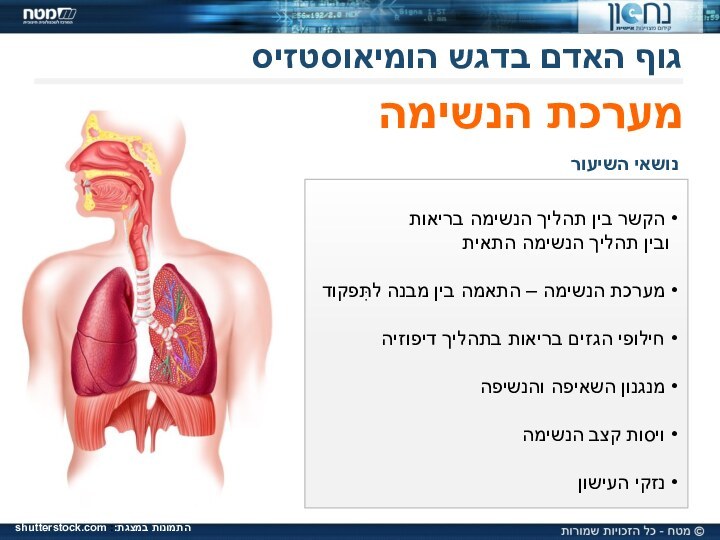 מערכת הנשימה הקשר בין תהליך הנשימה בריאות  ובין תהליך הנשימה התאית