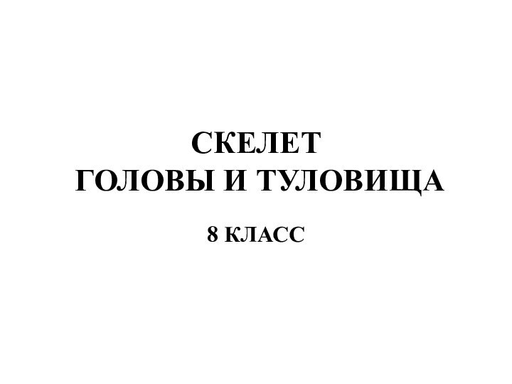 СКЕЛЕТ  ГОЛОВЫ И ТУЛОВИЩА8 КЛАСС