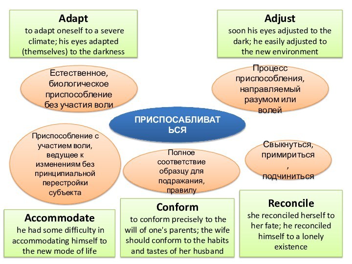 ПРИСПОСАБЛИВАТЬСЯЕстественное, биологическое приспособление без участия воли Adapt to adapt oneself to a