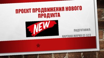 Проект продвижения нового продукта. Одежда с электрическим подогревом Hot wear