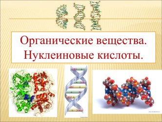 Органические вещества. Нуклеиновые кислоты