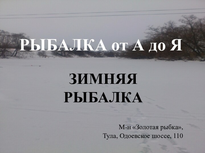 ЗИМНЯЯ РЫБАЛКАРЫБАЛКА от А до ЯМ-н «Золотая рыбка», Тула, Одоевское шоссе, 110