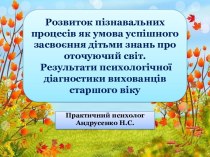 Розвиток пізнавальних процесів в дошкільному віці, як умова успішного засвоєння дітьми знань про оточуючий світ