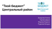 Проект Твой бюджет. Центральный район Санкт-Петербурга