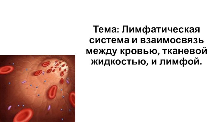 Тема: Лимфатическая система и взаимосвязь между кровью, тканевой жидкостью, и лимфой.