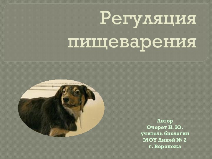 Регуляция пищеваренияАвторОчерет Н. Ю.учитель биологииМОУ Лицей № 2г. Воронежа