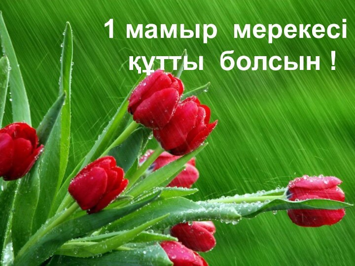 1 мамыр мерекесі құтты болсын !