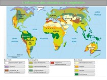 L’influence des climats sur le végétation