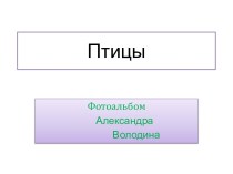 Птицы. Фотоальбом