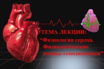 Физиология сердца. Физиологические основы гемодинамики