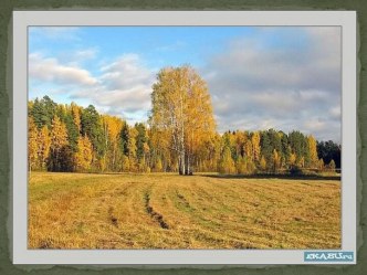 Н.А. Некрасов. Стихотворение Железная дорога