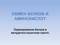 Обмен белков и аминокислот. Переваривание белков в желудочно-кишечном тракте